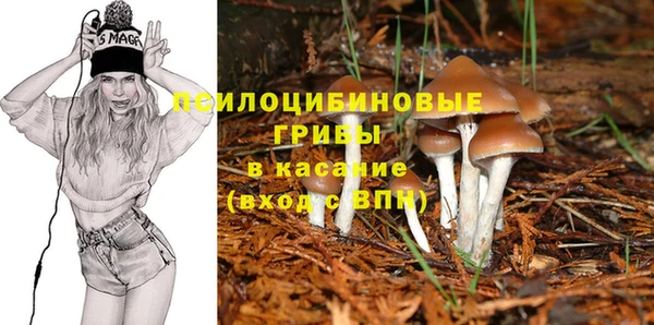 прущие крисы Абинск